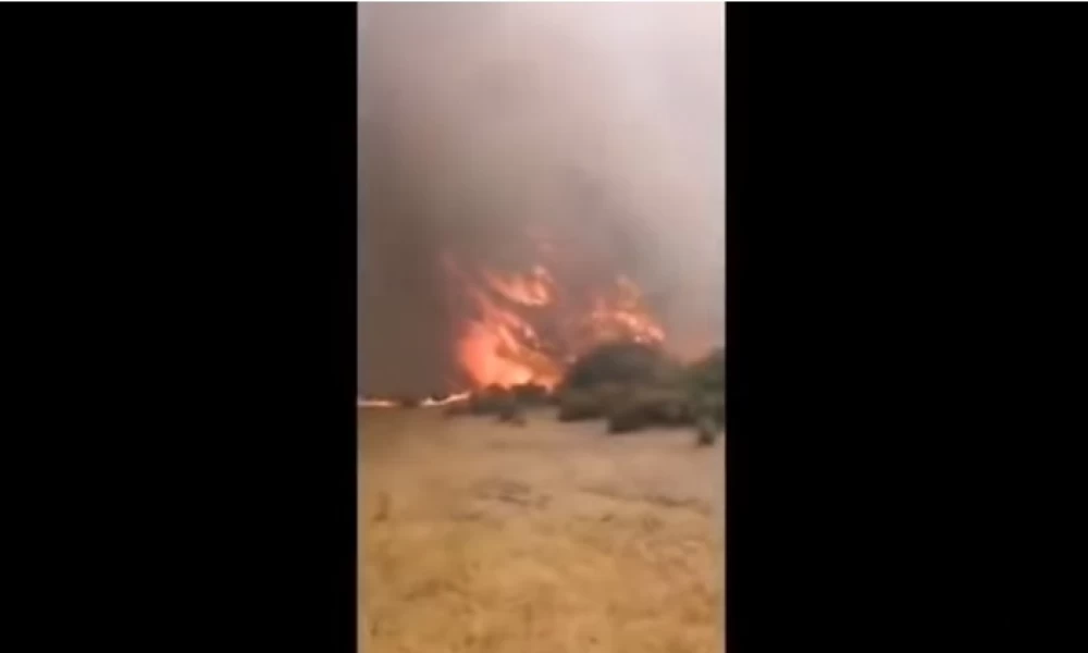 Ρόδος: Συγκλονίζει πυροσβέστης - "Καίγονται μέχρι και τα ελάφια"